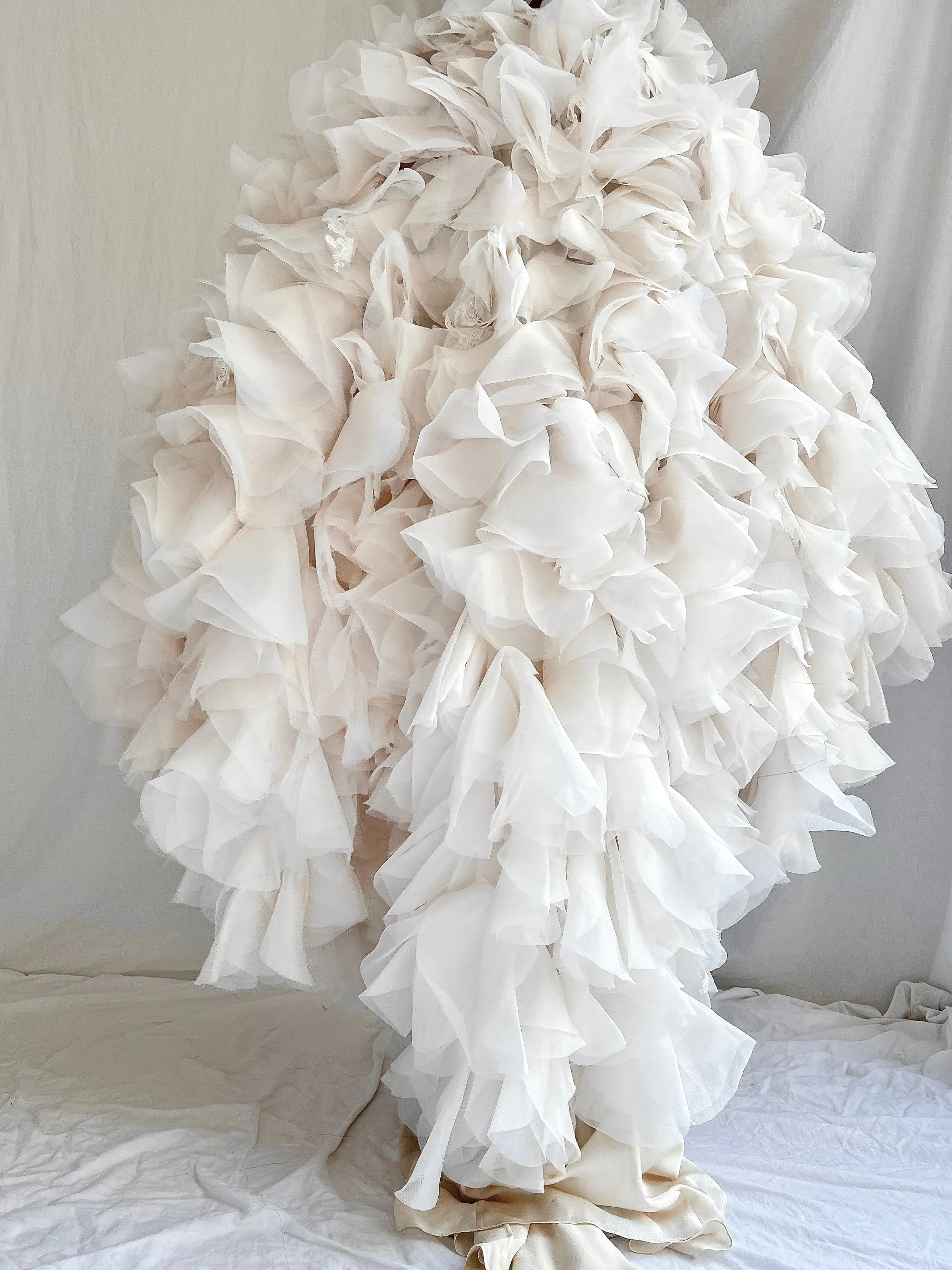 Organza and Lace Cape - OSFM