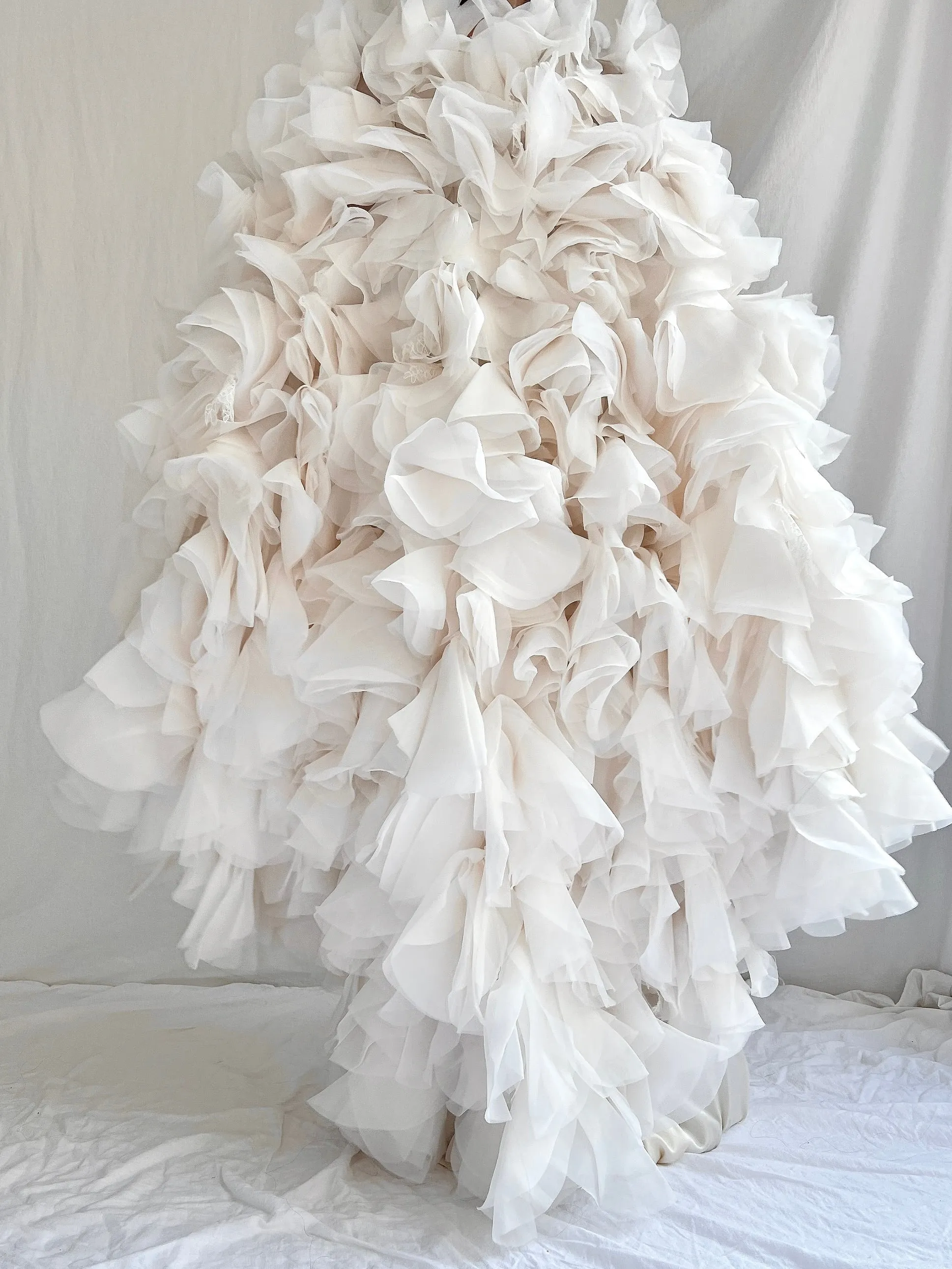 Organza and Lace Cape - OSFM