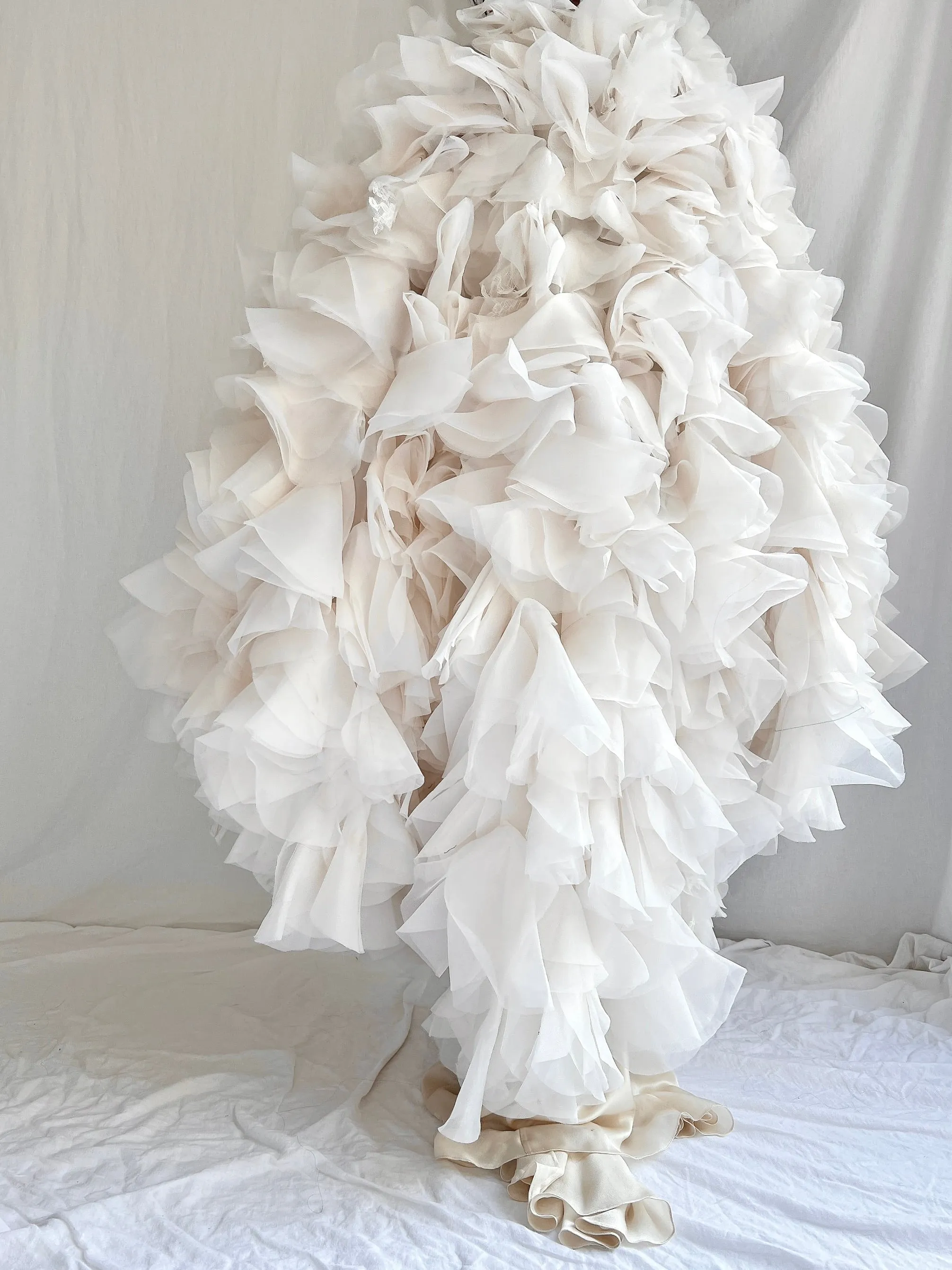 Organza and Lace Cape - OSFM