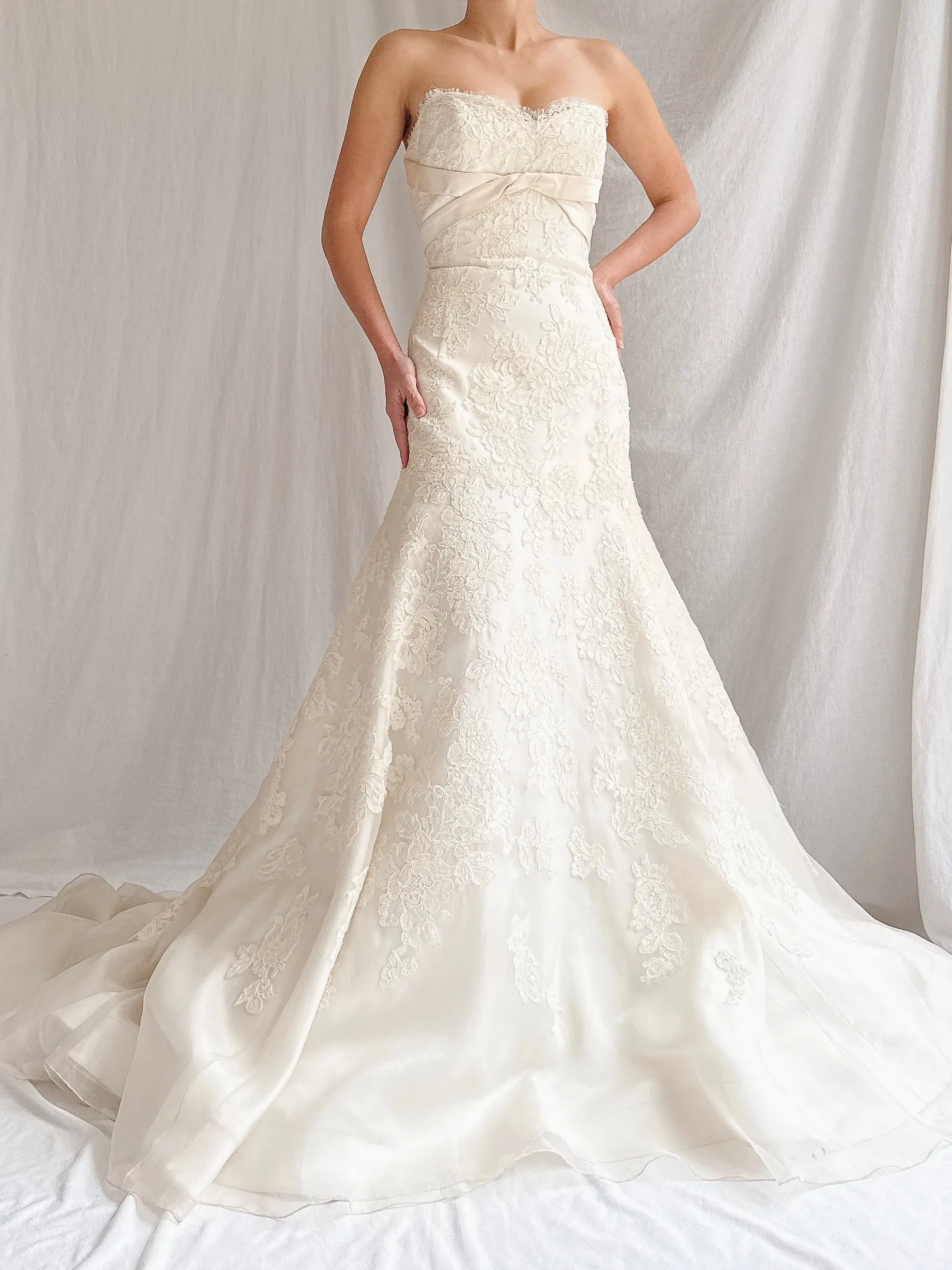 RESERVED Vintage Liancarlo Couture Alencon Lace & Silk Organza Gown - S/M 6